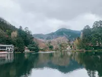 金鱗湖の写真・動画_image_339902