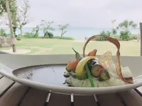 ブルータートル[Blue Turtle]の写真・動画_image_340360