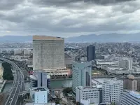 福岡タワーの写真・動画_image_340494
