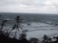 白米千枚田の写真・動画_image_340541
