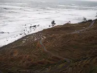 白米千枚田の写真・動画_image_340542