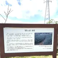 漢那ダムの写真・動画_image_340733