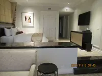 The Palazzo at The Venetian（パラッツォ）の写真・動画_image_341748