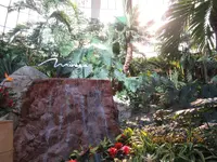 The Mirage（ミラージュ）の写真・動画_image_341756