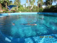 The Mirage（ミラージュ）の写真・動画_image_341759