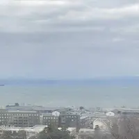 彦根城の写真・動画_image_341827