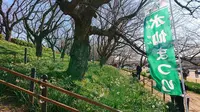 権現堂公園の写真・動画_image_341971
