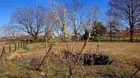 権現堂公園の写真・動画_image_341976