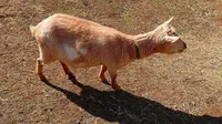 権現堂公園の写真・動画_image_341979
