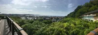 長谷寺の写真・動画_image_342040