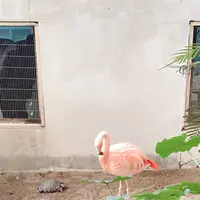 草津熱帯圏の写真・動画_image_342329