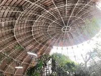 草津熱帯圏の写真・動画_image_342330