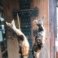 山マタギと海番屋の写真・動画_image_342363