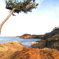 加佐の岬の写真・動画_image_342394