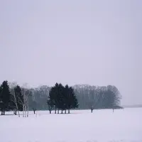 羊ヶ丘展望台の写真・動画_image_342983