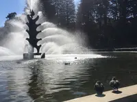世田谷公園の写真・動画_image_343233