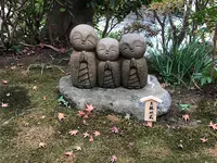 長谷寺の写真・動画_image_343255