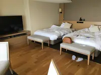 HOTEL MICURAS（ホテル ミクラス）の写真・動画_image_343911