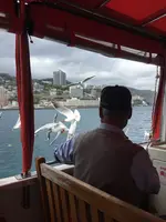 熱海遊覧船サンレモの写真・動画_image_343941