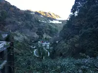 アカオハーブ＆ローズガーデンの写真・動画_image_343975