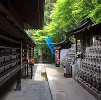 一願大師の写真・動画_image_344324