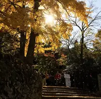 大聖院の写真・動画_image_344325