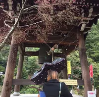 大聖院の写真・動画_image_344326