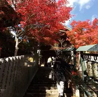 大聖院の写真・動画_image_344329