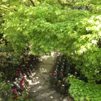 大聖院の写真・動画_image_344338