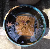 大聖院の写真・動画_image_344345