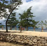 てんぷら津久根島 宮島店の写真・動画_image_344378