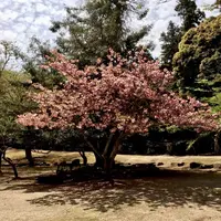 大元神社の写真・動画_image_344422
