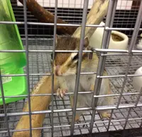 ミヤトヨ 本店の写真・動画_image_344433