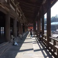 豊国神社（千畳閣）の写真・動画_image_344439