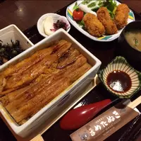 まめたぬきの写真・動画_image_344470
