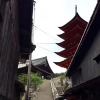 サラスヴァティ （sarasvati）の写真・動画_image_344473