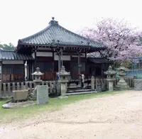 山辺の古径の写真・動画_image_344486