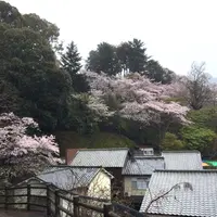 山辺の古径の写真・動画_image_344489