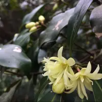 山辺の古径の写真・動画_image_344493