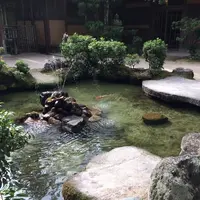 久久能智の聖木の写真・動画_image_344537