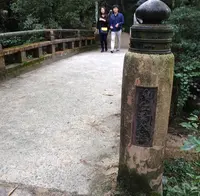 久久能智の聖木の写真・動画_image_344543