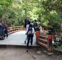 久久能智の聖木の写真・動画_image_344544