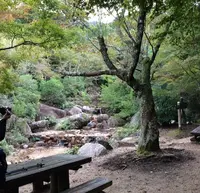 久久能智の聖木の写真・動画_image_344546