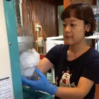 玉氷の写真・動画_image_344560