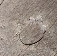 豊国神社（千畳閣）の写真・動画_image_344574