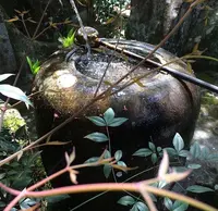 大聖院の写真・動画_image_344578
