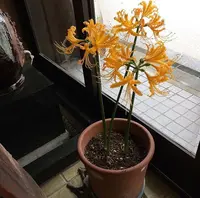 ミヤトヨ 本店の写真・動画_image_344579