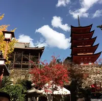 豊国神社（千畳閣）の写真・動画_image_344605
