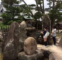 大願寺の九本松の写真・動画_image_344647