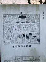 本薬師寺跡　ホテイアオイの写真・動画_image_345080